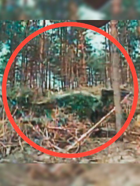 Eine Aufnahme von einem russischen Panzer, der unter Ästen und Blättern versteckt ist.