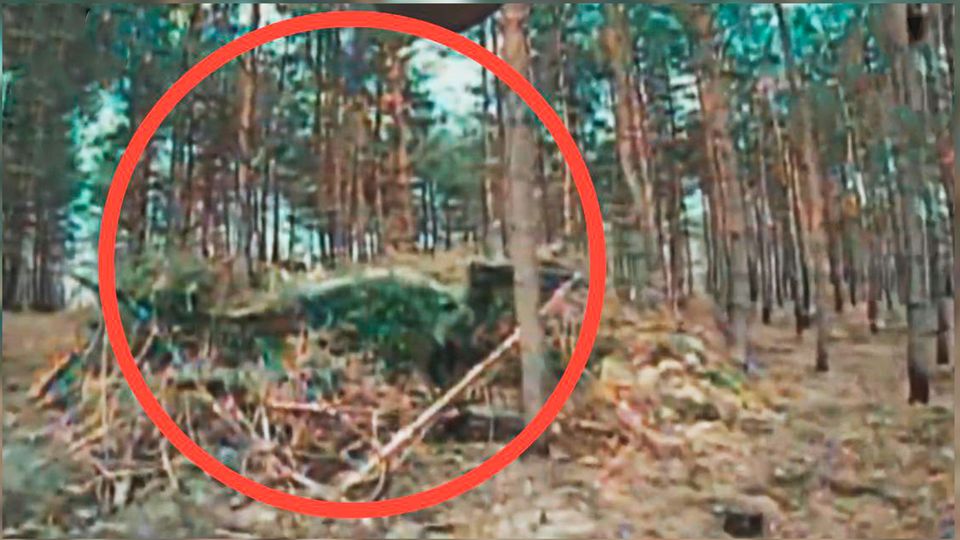 Eine Aufnahme von einem russischen Panzer, der unter Ästen und Blättern versteckt ist.