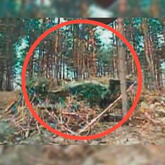 Eine Aufnahme von einem russischen Panzer, der unter Ästen und Blättern versteckt ist.