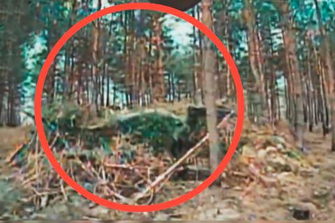 Eine Aufnahme von einem russischen Panzer, der unter Ästen und Blättern versteckt ist.