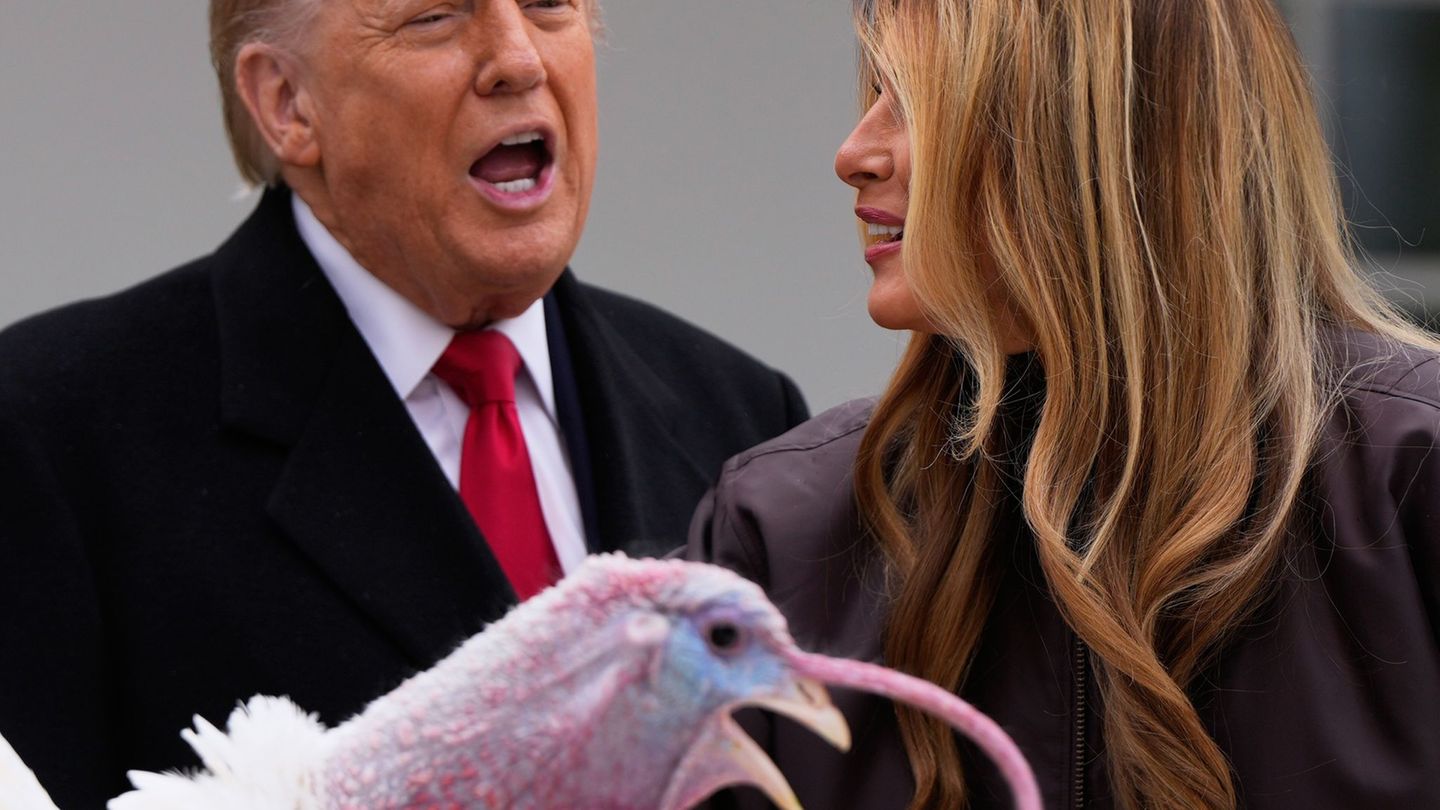 Eine alte Tradition - Der Präsident begnadigt vor dem Thanksgivingfest einen Truthahn. Foto: Julia Demaree Nikhinson/AP/dpa