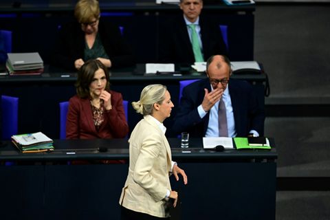 Weidel und Merz im Bundestag (Archiv)