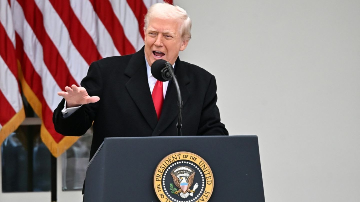 Ukraine-Abkommen: Trump sieht nur noch "wenige strittige Punkte" und schickt Witkoff nach Moskau