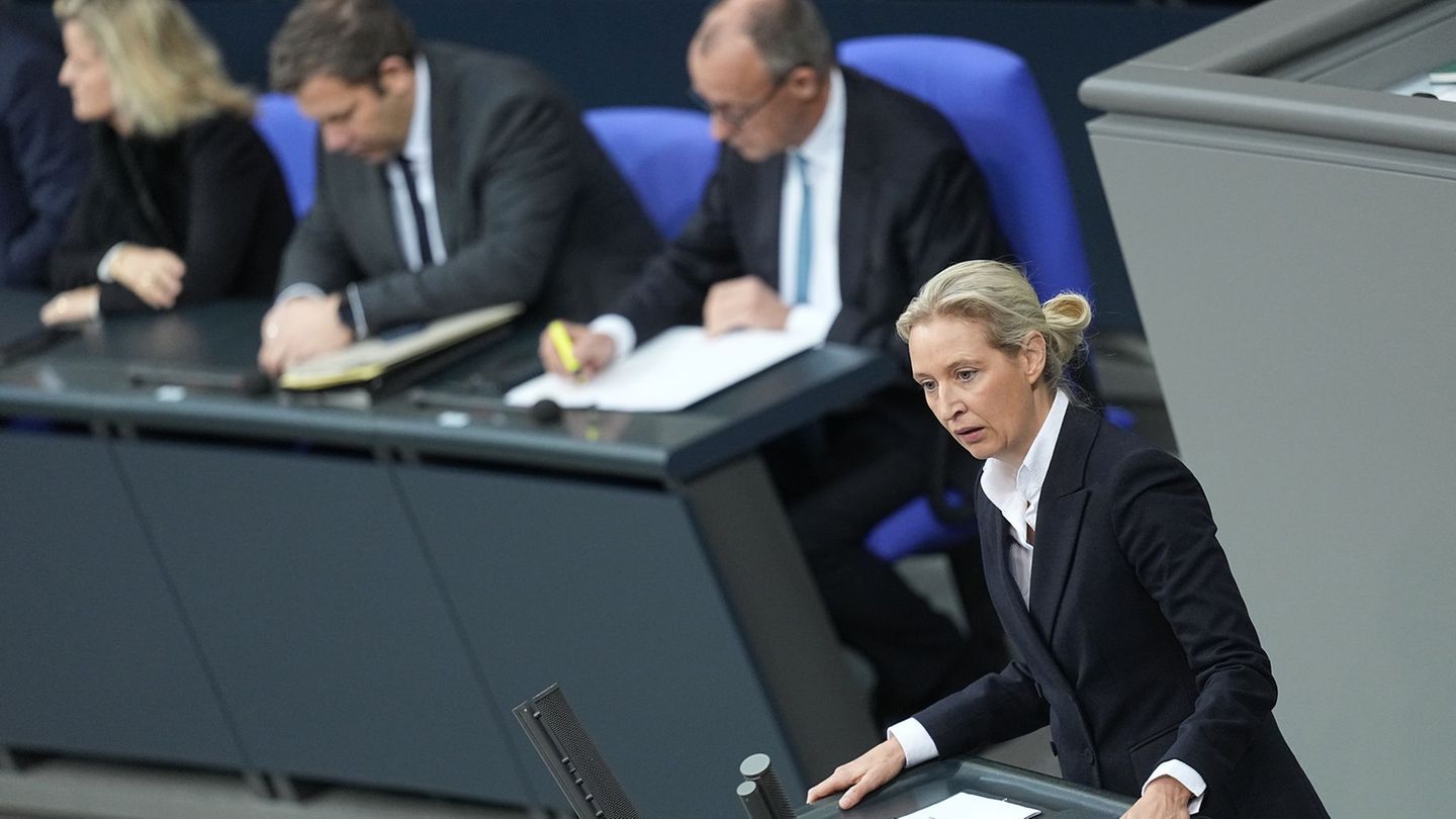 Generaldebatte: "Schlagseite": Weidel vergleicht Koalition mit Titanic