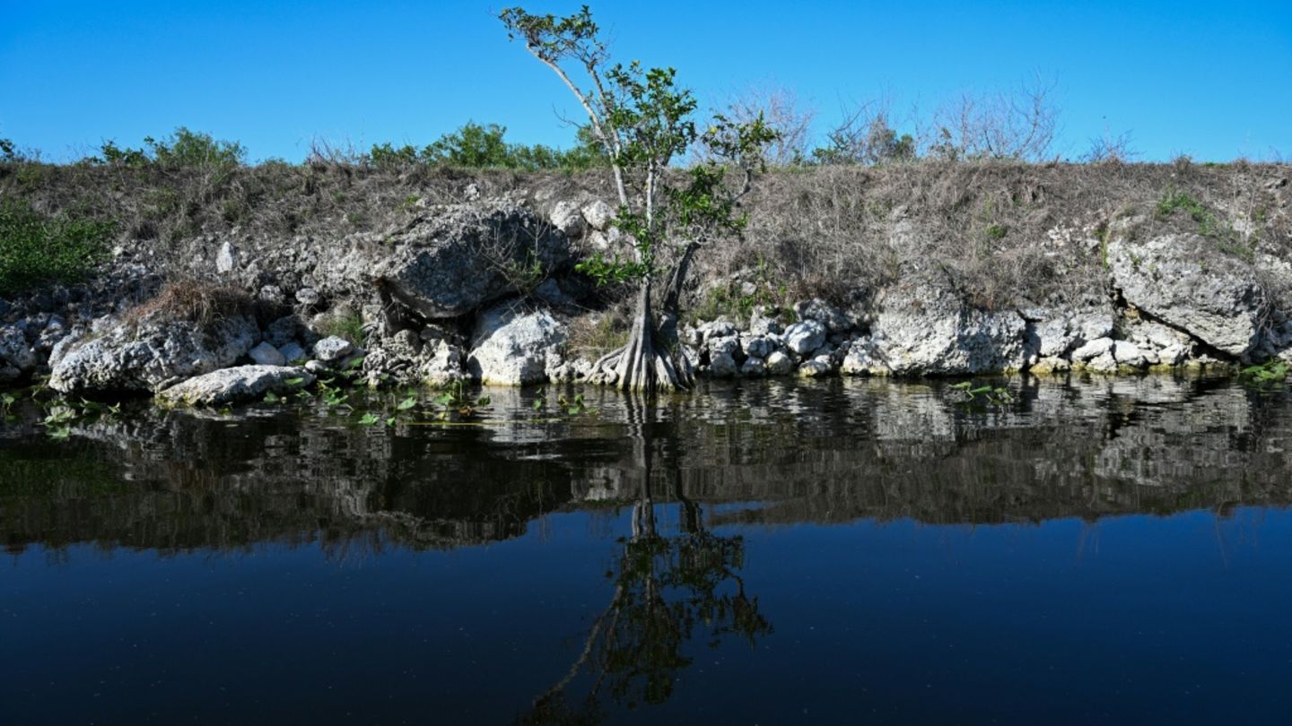 Everglades National Park in Florida