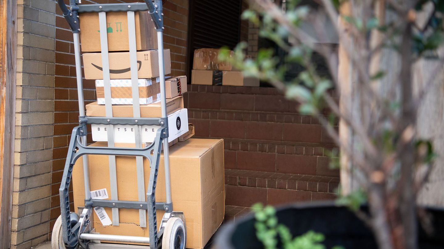 Die Arbeitsbedingungen in der Paketbranche sind oft hart. (Symbolbild) Foto: Sebastian Gollnow/dpa