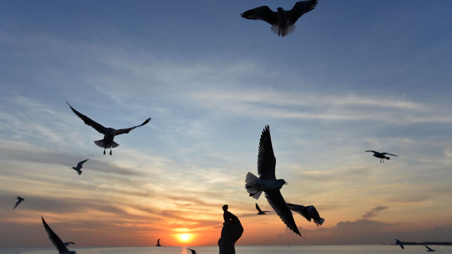 Sonnige Reiseziele sind laut Dertour besonders gefragt. (Archivbild) Foto: Rachen Sageamsak/XinHua/dpa