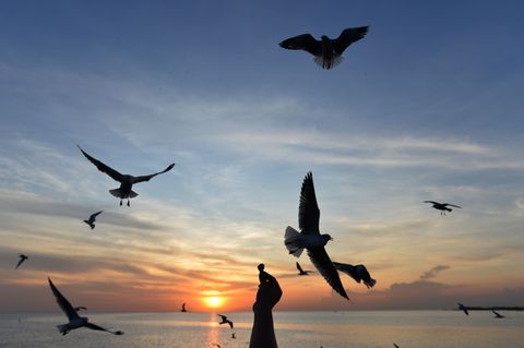 Sonnige Reiseziele sind laut Dertour besonders gefragt. (Archivbild) Foto: Rachen Sageamsak/XinHua/dpa