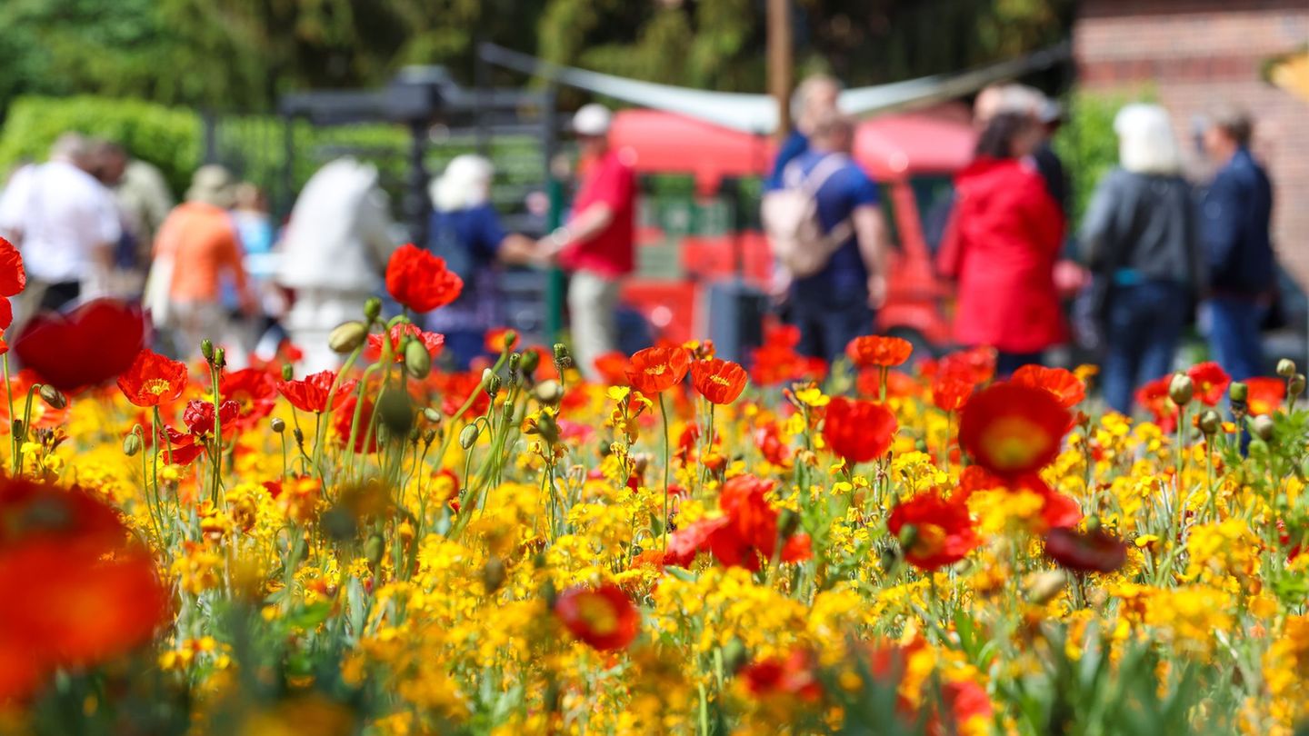 2022 lockte Beelitz um die 560.000 Besucher zur Landesgartenschau. (Archivbild) Foto: Gerald Matzka/dpa