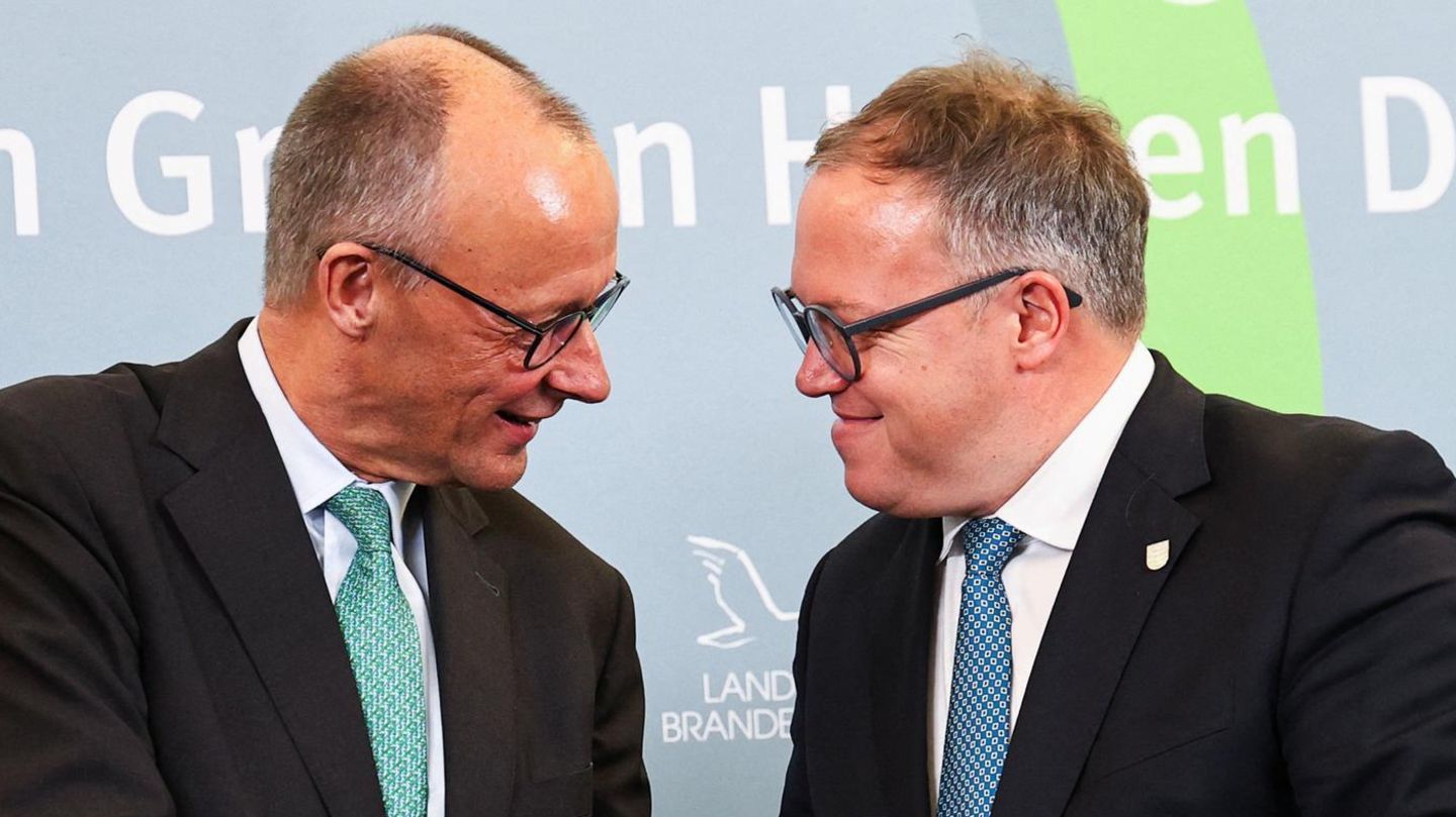 Friedrich Merz und Mario Voigt