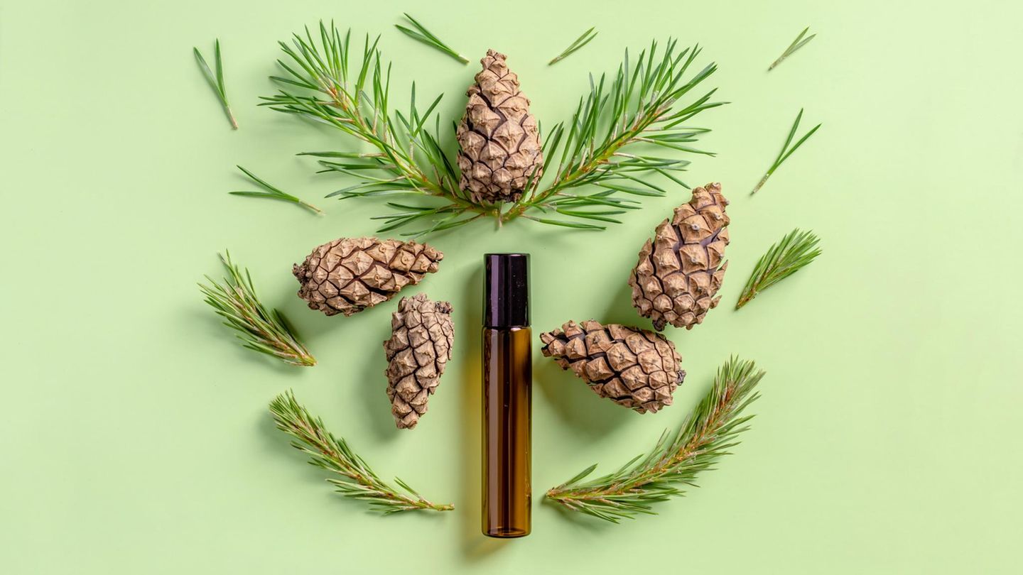 Zedernholz: Aufmacher mit Tannennadeln