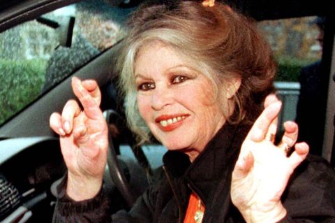 Nach erneuter Hospitalisierung: "Frau Bardot befindet sich in der Genesungsphase und es geht ihr gut." (Archivbild) Foto: --/Edi