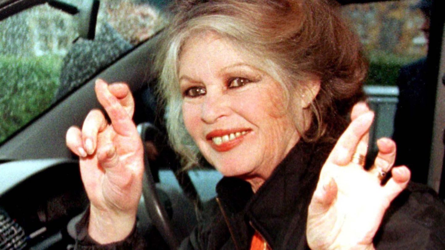 Nach erneuter Hospitalisierung: "Frau Bardot befindet sich in der Genesungsphase und es geht ihr gut." (Archivbild) Foto: --/Edi