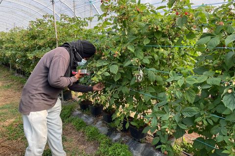 Die befreiten Migranten wurden laut Polizei oft geschlagen. Foto: -/Portugiesische Kriminalpolizei Polícia Judiciária PJ/dpa