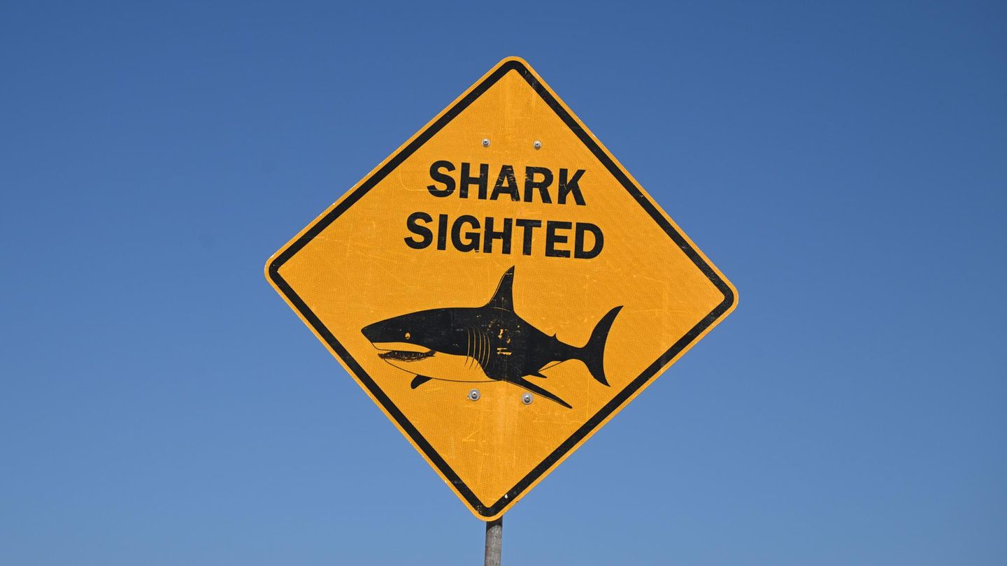 Ein gelbes Schild warnt in Australien davor, dass im Wasser ein Hai gesichtet wurde