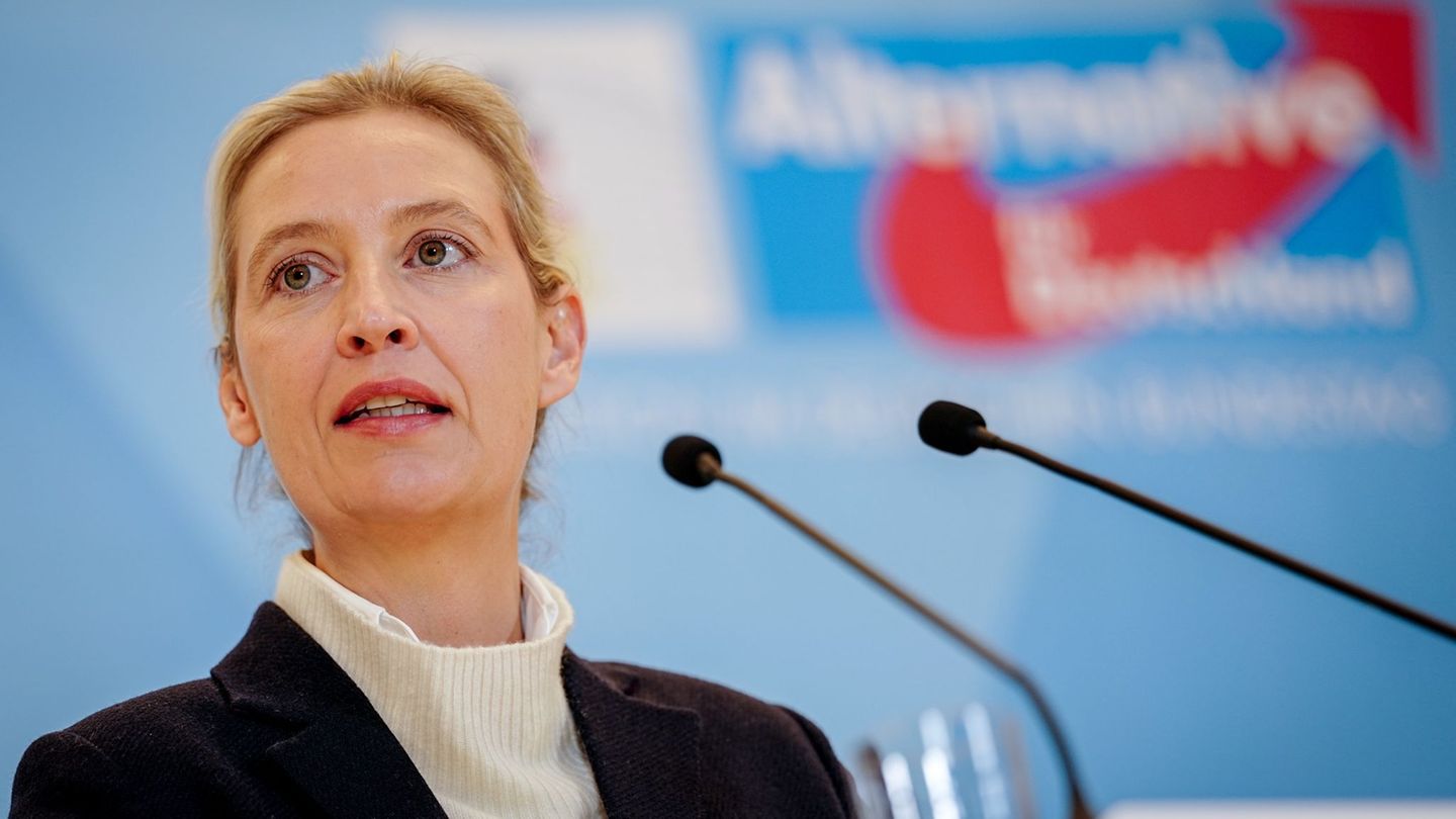 AfD ustanavlja novo podmladkovno organizacijo, Weideljeva pa ne pričakuje nevarnosti zase