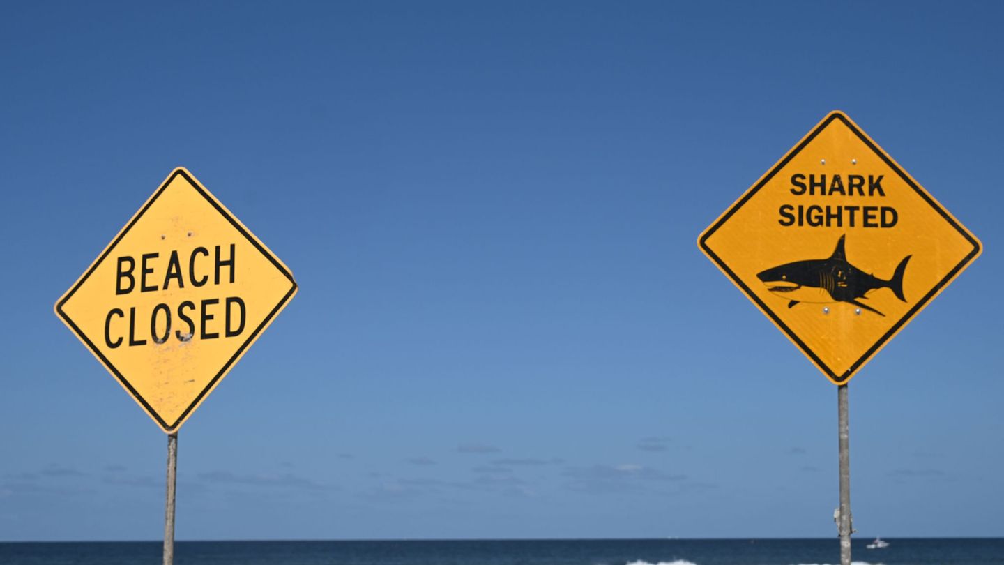 Die Strände in der Region wurden zunächst gesperrt. (Symbolbild) Foto: Dean Lewins/AAP/dpa