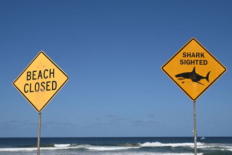 Die Strände in der Region wurden zunächst gesperrt. (Symbolbild) Foto: Dean Lewins/AAP/dpa