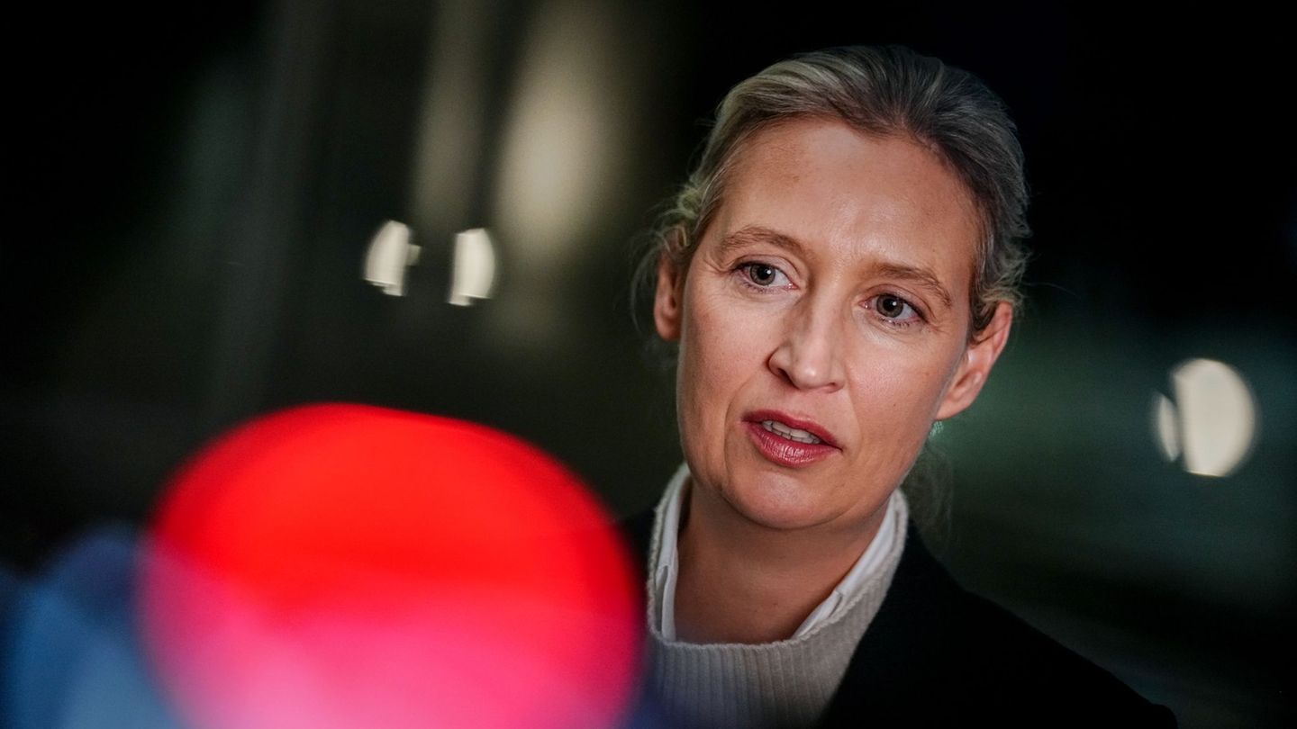 AfD-Chefin Alice Weidel sieht ihre Partei in baldiger Regierungsverantwortung und die AfD-Nachwuchsorganisation als "Kaderschmie