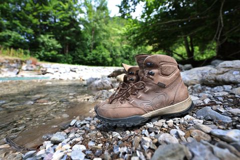 Für einen Teil der Wanderungen kann man sich jetzt schon anmelden. (Symbolbild) Foto: Karl-Josef Hildenbrand/dpa
