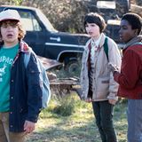 Auch er gehört zur Freundesgruppe: Dustin Henderson (links) ist ein hochintelligenter Junge und immer für einen Lacher gut. Sowohl der Darsteller Gaten Matarazzo als auch seine Rolle leiden an Kleidokranialer Dysplasie, einer seltenen Erbkrankheit, die die Entwicklung von Knochen und Zähnen beeinflusst.