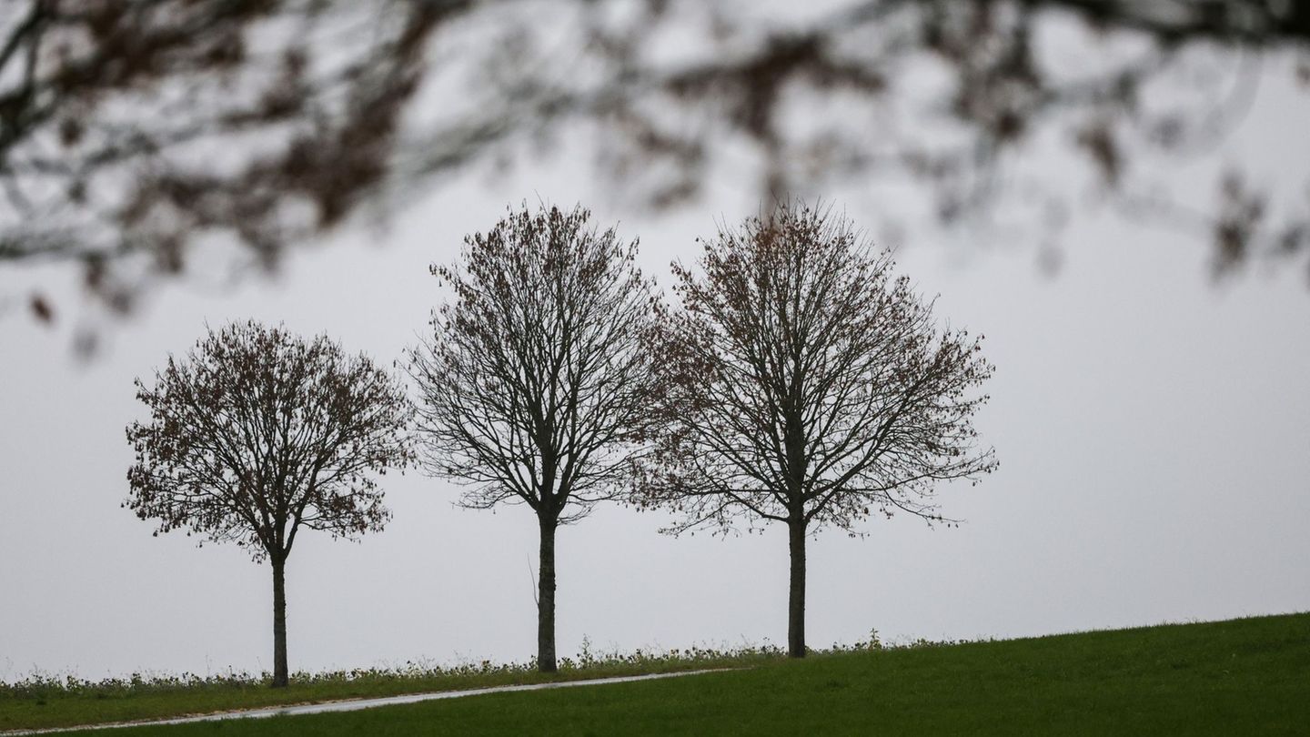 Es bleibt in den nächsten Tagen eher grau im Südwesten. (Archivbild) Foto: Thomas Warnack/dpa