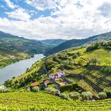 Douro-Tal nahe Porto in Portugal