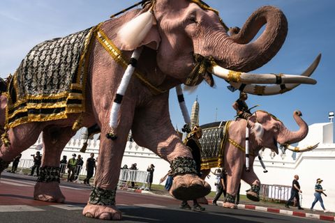 Elefantenparade in Bangkok