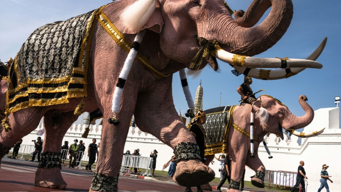 Elefantenparade in Bangkok