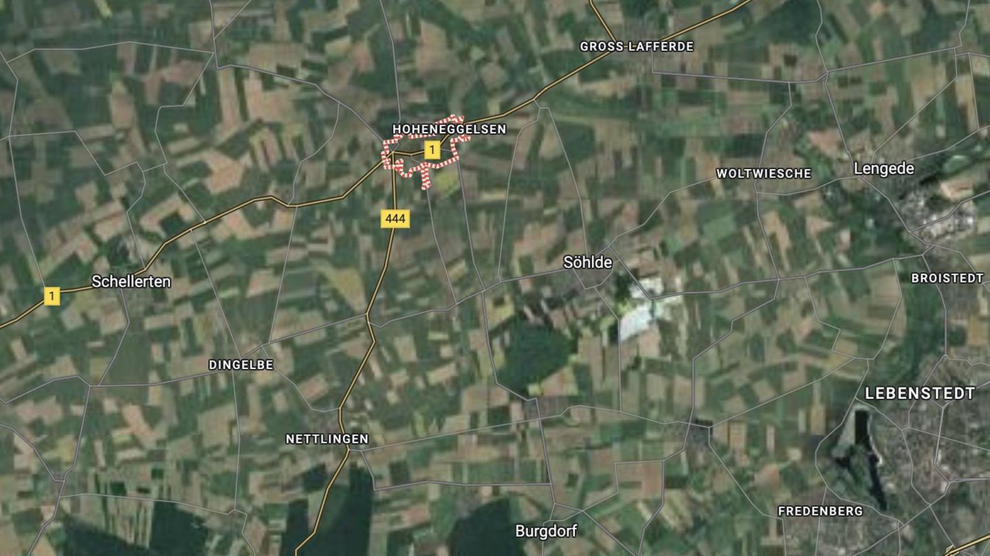 Hoheneggelsen