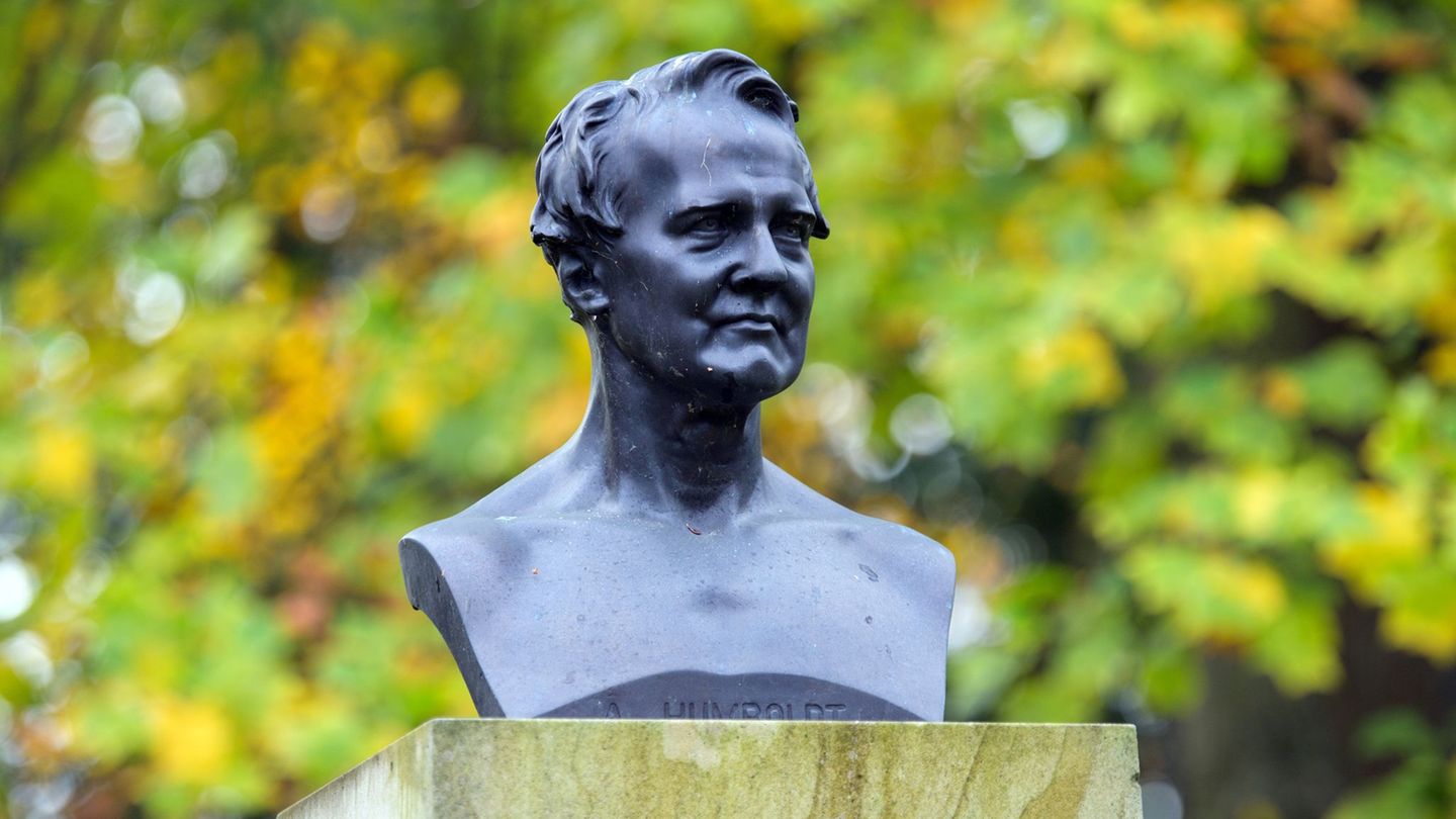 Die renommierte Bioingenieurin Sahika Inal hat eine Humboldt-Professur erhalten und soll künftig in Dresden forschen. (Symbolbil