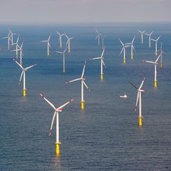 Laut den Richtern fehlt es an Erkenntnissen dazu, ob der Windpark den Lebensraum der Seetaucher beeinträchtigt. (Archivbild) Fot
