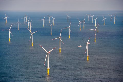 Laut den Richtern fehlt es an Erkenntnissen dazu, ob der Windpark den Lebensraum der Seetaucher beeinträchtigt. (Archivbild) Fot