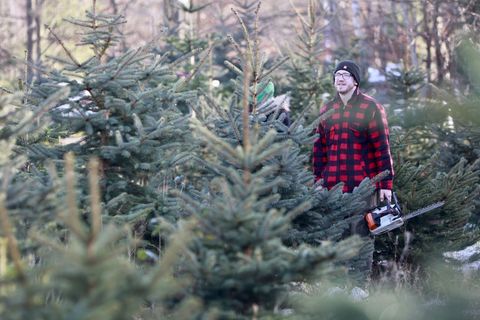Vor allem bei Familien oder als Event mit Freunden liegt das Weihnachtsbaumschlagen im Trend. (Archivbild) Foto: Matthias Bein/d