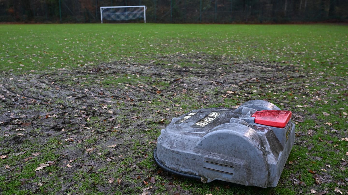 Rasenmähroboter "Robby" hatte sich unbemerkt im Rasen festgefahren. Foto: Lars Penning/dpa