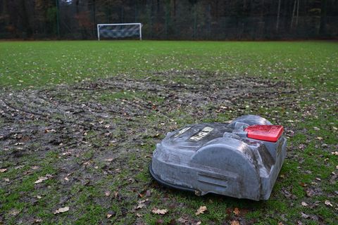 Rasenmähroboter "Robby" hatte sich unbemerkt im Rasen festgefahren. Foto: Lars Penning/dpa