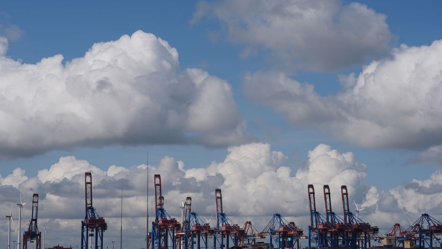 Der Hamburger Hafen ist mit seinen vier Containerterminals Deutschlands größter. (Archivbild) Foto: Marcus Brandt/dpa