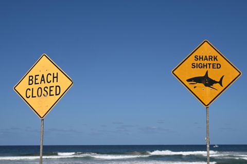 Australien: Schilder warnen vor Haien