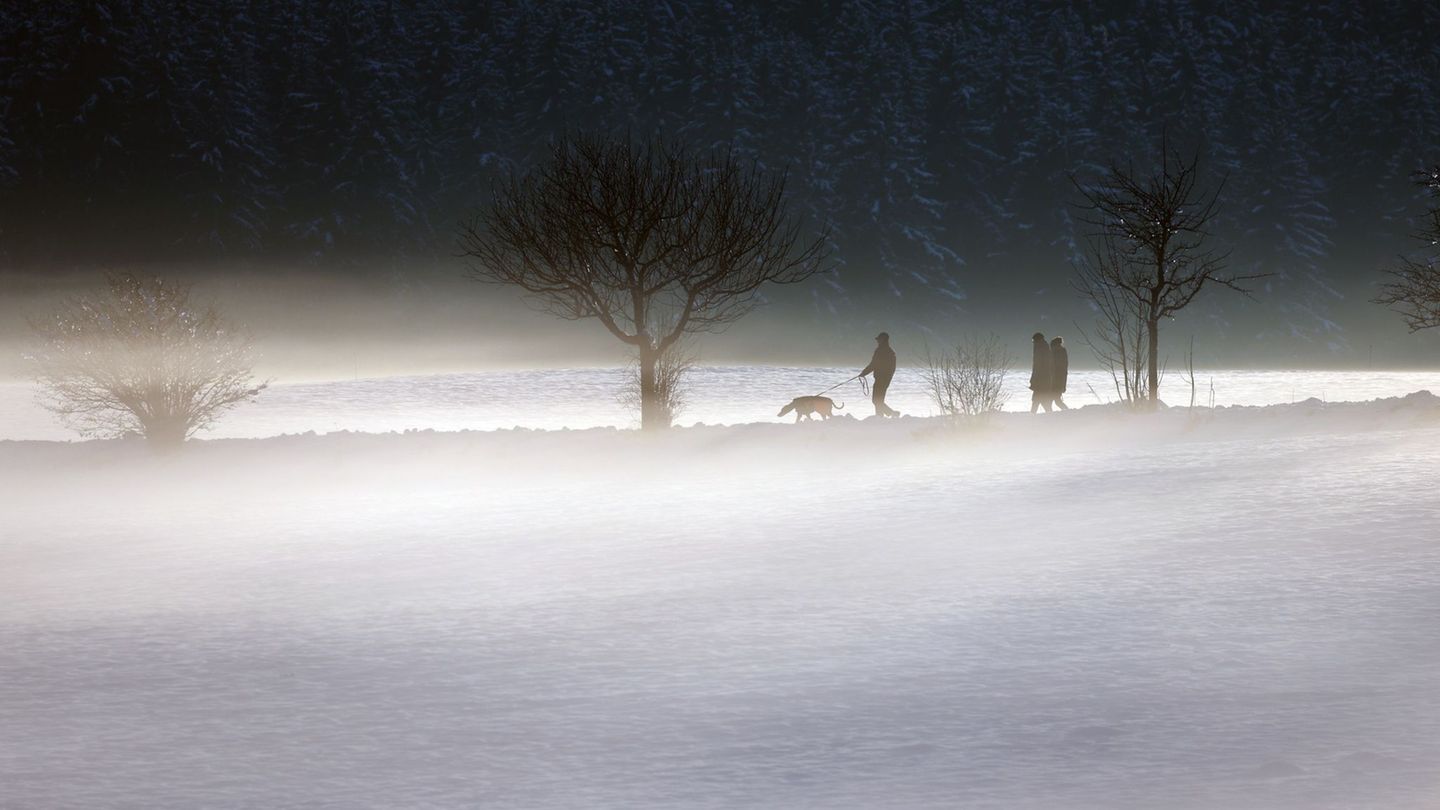 Nebel und Glätte prägen am Wochenende das Wetter in Bayern. Foto: Karl-Josef Hildenbrand/dpa