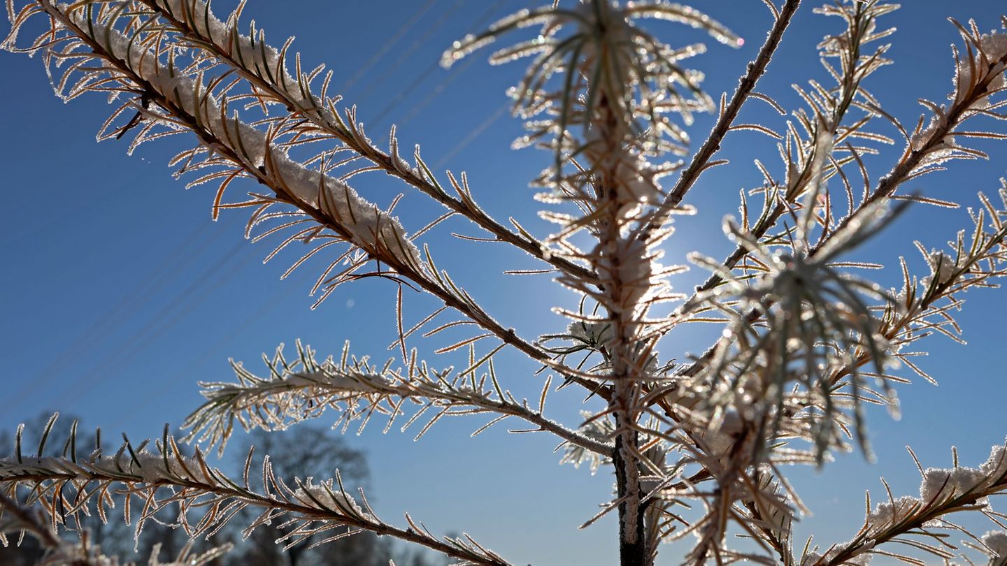 Nach Angaben des DWD gefriert im oberen Bergland Freitag und Samstag vereinzelt Sprühregen, der zu Glätte führen kann. (Archivbi