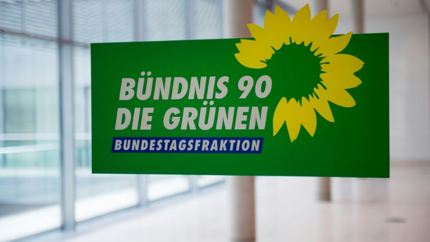 Grüne wollen in Rentenkommission der Koalition mitarbeiten - Linke übt Kritik