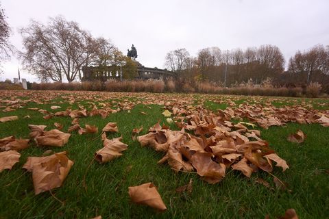 Der Deutsche Wetterdienst zieht Bilanz zum Herbst in Rheinland-Pfalz. (Symbolbild) Foto: Thomas Frey/dpa
