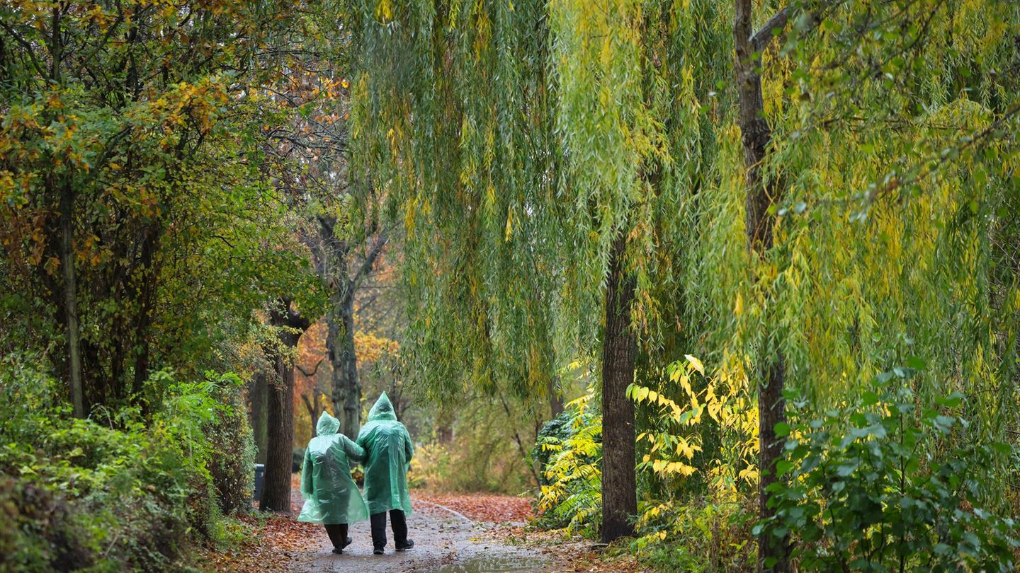 Besonders der Oktober war laut der DWD-Meteorolgen ein nasser und trüber Herbstabschnitt. (Symbolbild) Foto: Christian Charisius