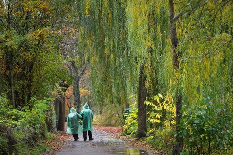 Besonders der Oktober war laut der DWD-Meteorolgen ein nasser und trüber Herbstabschnitt. (Symbolbild) Foto: Christian Charisius