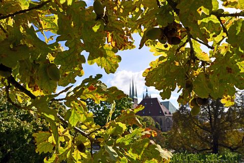 Das Wetter war im Herbst in Thüringen mild. (Symbolbild) Foto: Martin Schutt/dpa