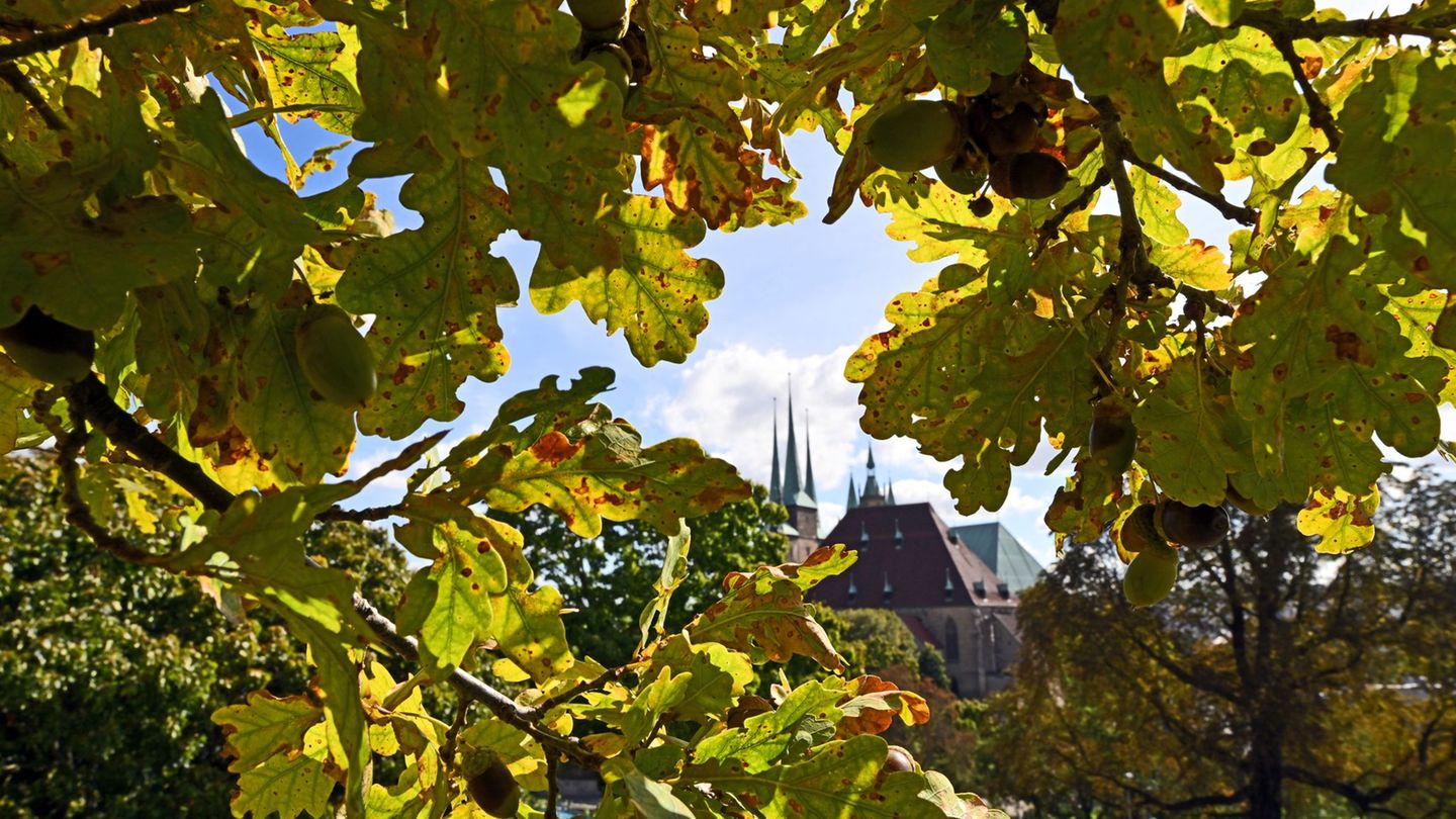 Das Wetter war im Herbst in Thüringen mild. (Symbolbild) Foto: Martin Schutt/dpa
