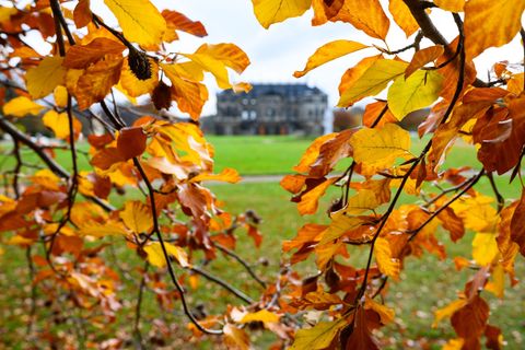 Der sächsische Herbst war in diesem Jahr mild. (Symbolbild) Foto: Robert Michael/dpa