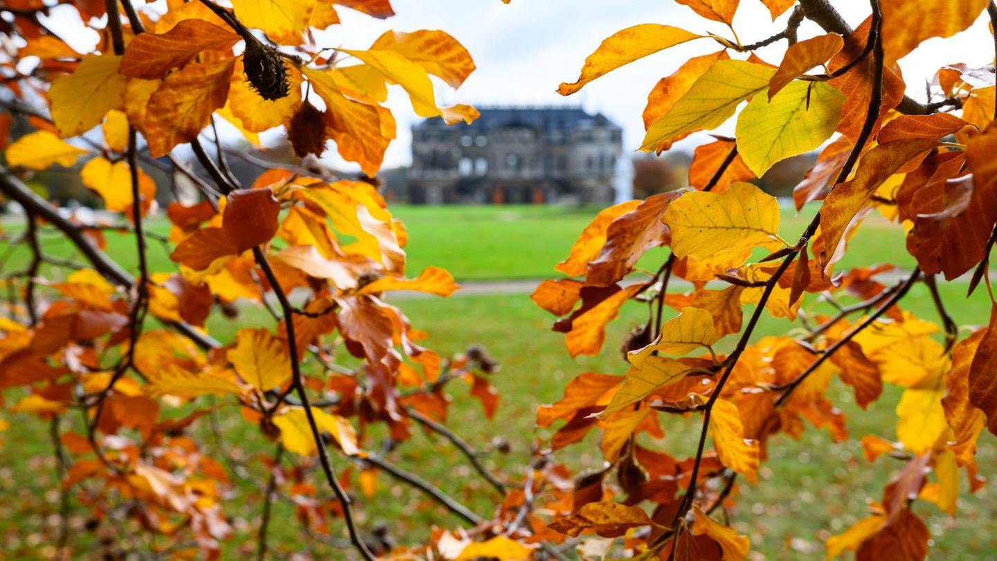 Der sächsische Herbst war in diesem Jahr mild. (Symbolbild) Foto: Robert Michael/dpa