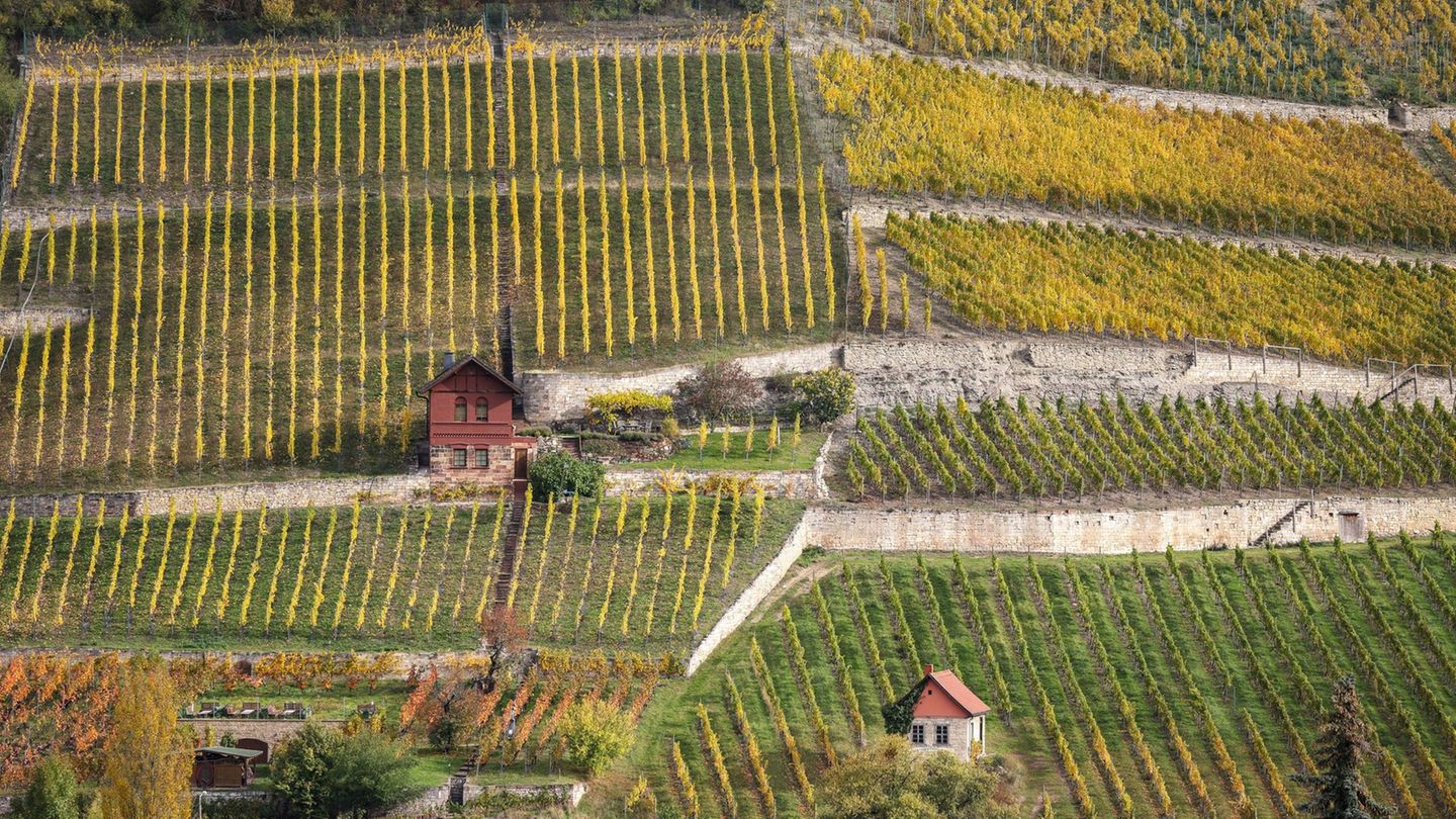 Wetter: Milder Herbst in Sachsen-Anhalt