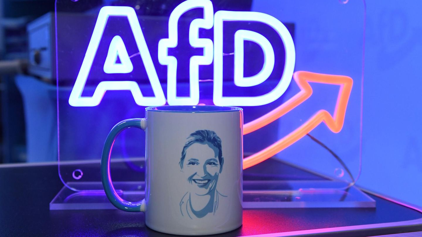 Vor-Ort-Weidels-AfD-Jugend-Neugeburt-in-der-Kampfzone